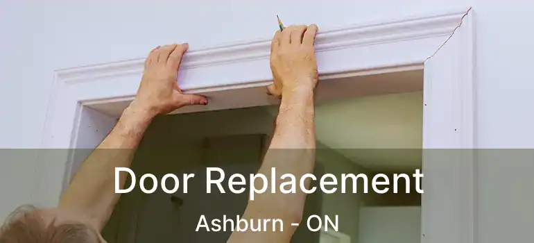  Door Replacement Ashburn - ON