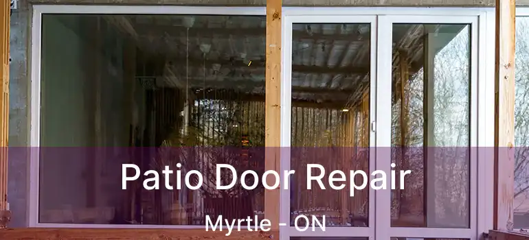  Patio Door Repair Myrtle - ON